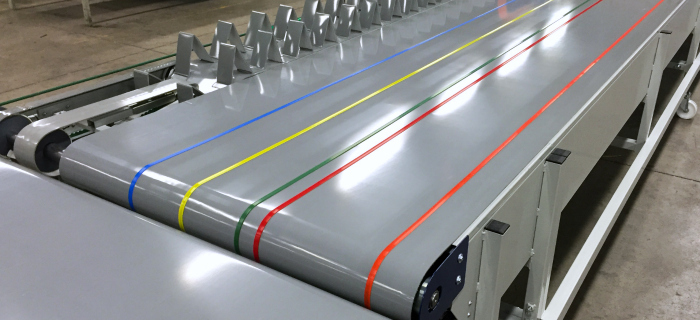 BTE transportband met kleurlijnen